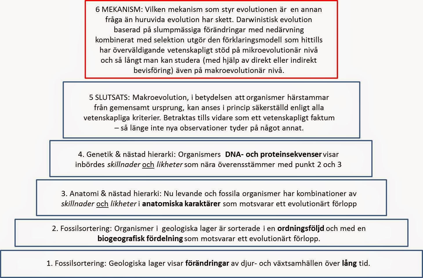 vetenskapen om fossila organismer vetenskapen om fossila organismer